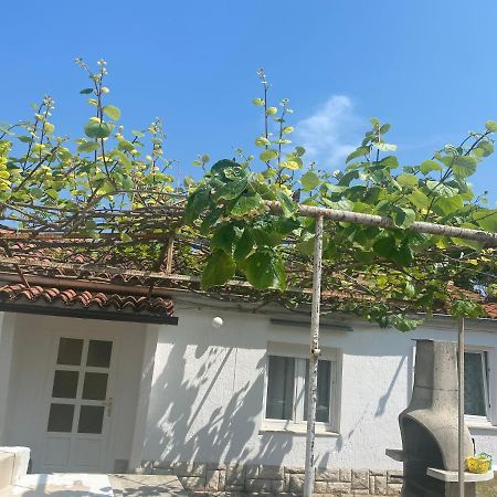 Appartement Apartman Nela à Poreč Extérieur photo